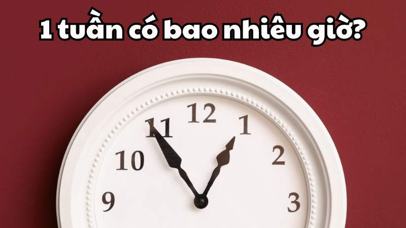 1 tuần có bao nhiêu giờ?