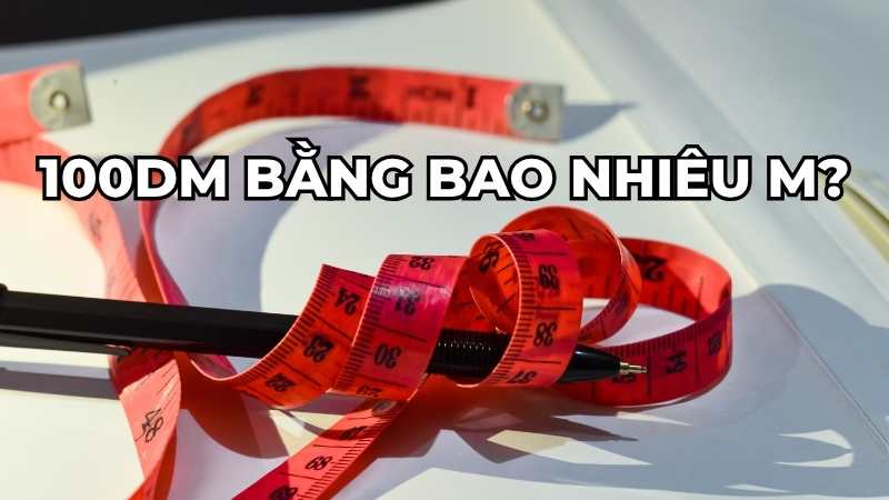 100dm bằng bao nhiêu m?