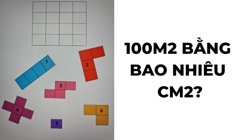 100m2 bằng bao nhiêu cm2?