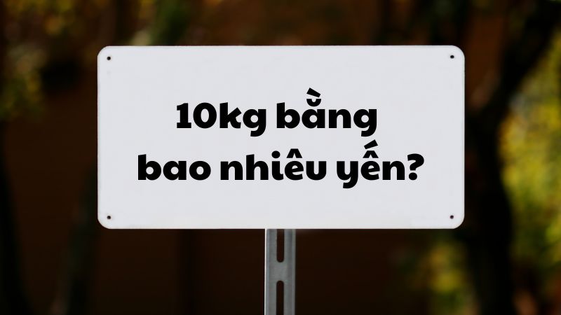 10kg bằng bao nhiêu yến?