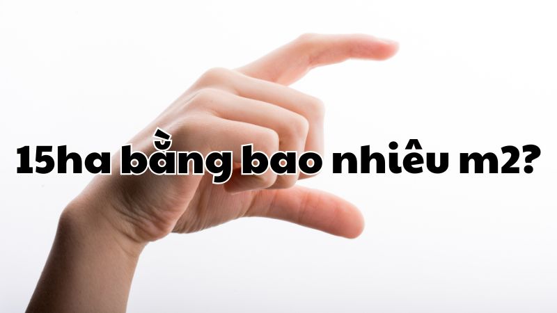 15ha bằng bao nhiêu m2?