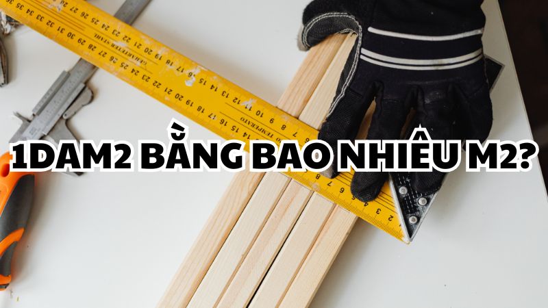 1dam2 bằng bao nhiêu m2?
