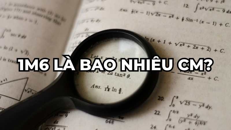 1m6 là bao nhiêu cm?