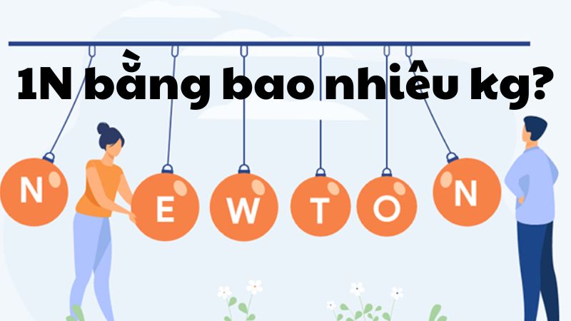 1N bằng bao nhiêu kg?