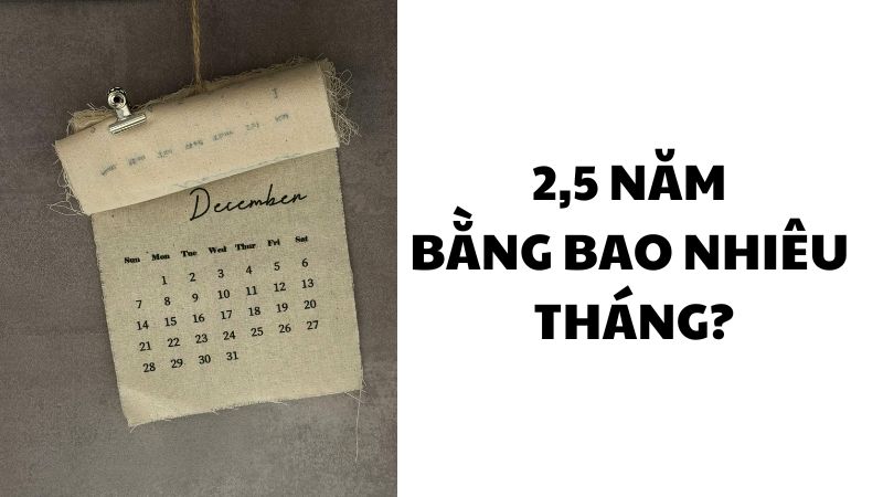 2,5 năm bằng bao nhiêu tháng?