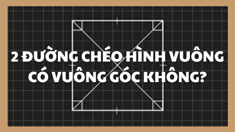 2 đường chéo hình vuông có vuông góc không?