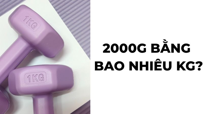2000g bằng bao nhiêu kg?