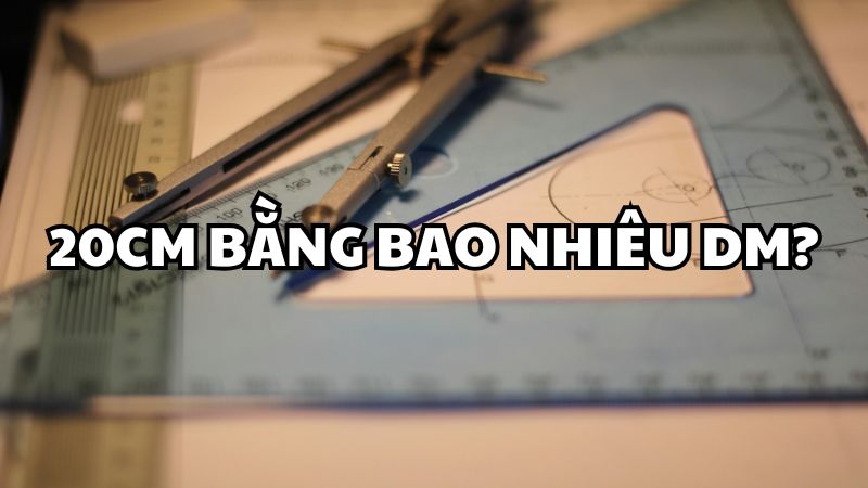 20cm bằng bao nhiêu dm?
