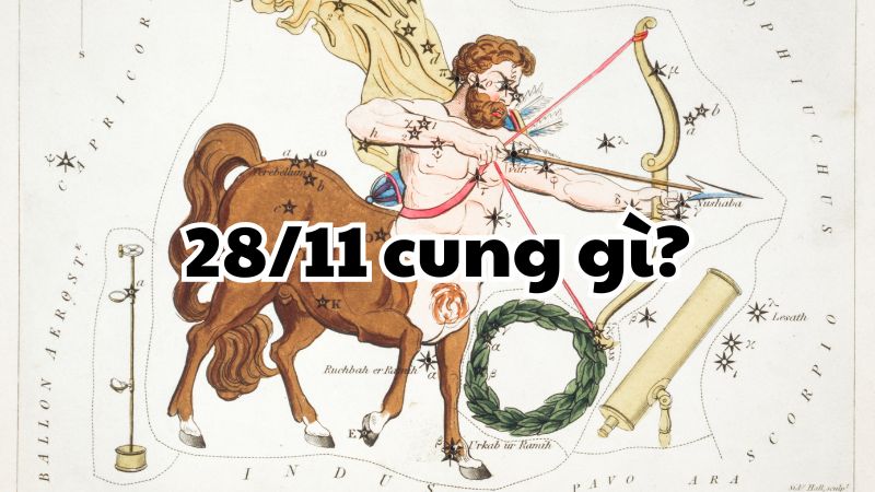 28/11 cung gì?