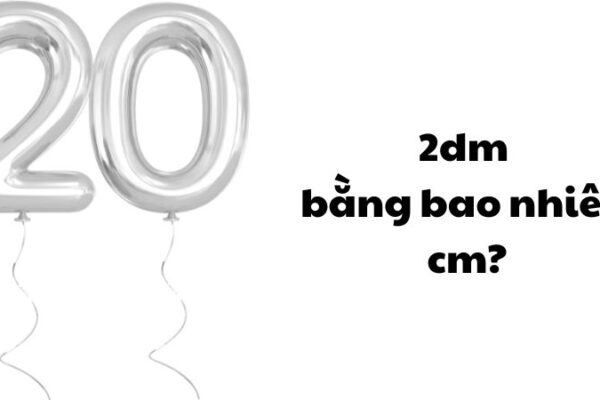 2dm bằng bao nhiêu cm?