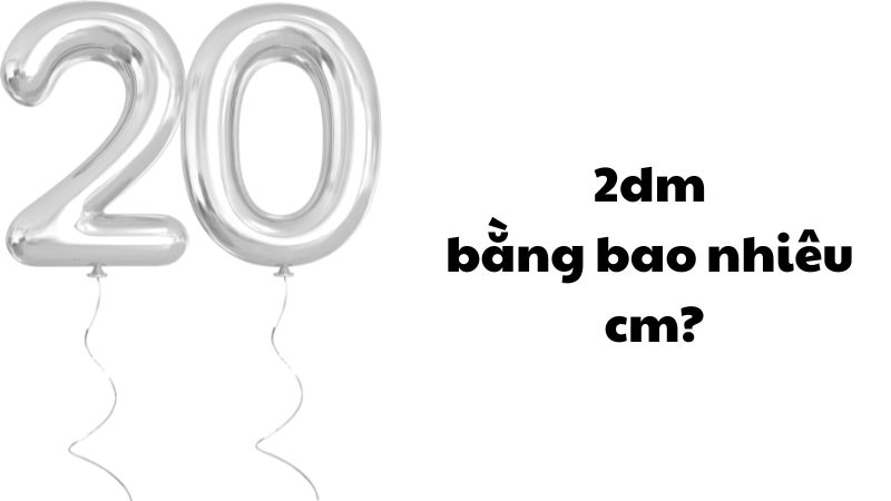 2dm bằng bao nhiêu cm?