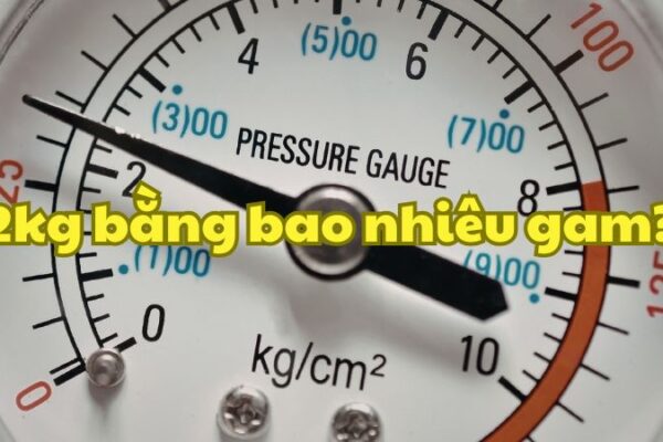 2kg bằng bao nhiêu gam?
