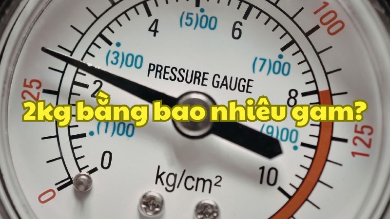 2kg bằng bao nhiêu gam?