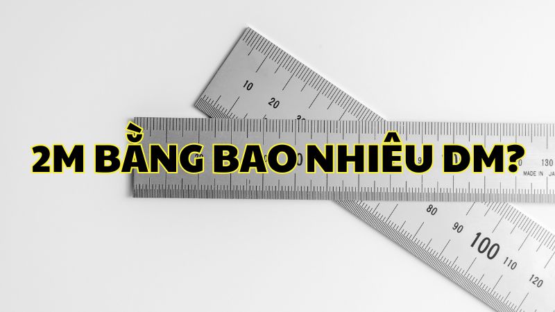 2m bằng bao nhiêu dm?