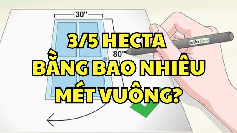 3/5 hecta bằng bao nhiêu mét vuông?