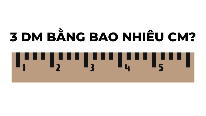 3 dm bằng bao nhiêu cm?