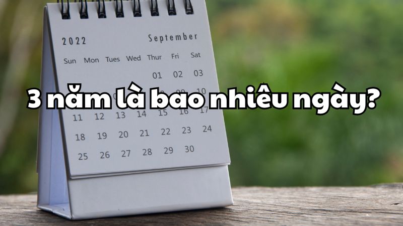 3 năm là bao nhiêu ngày?