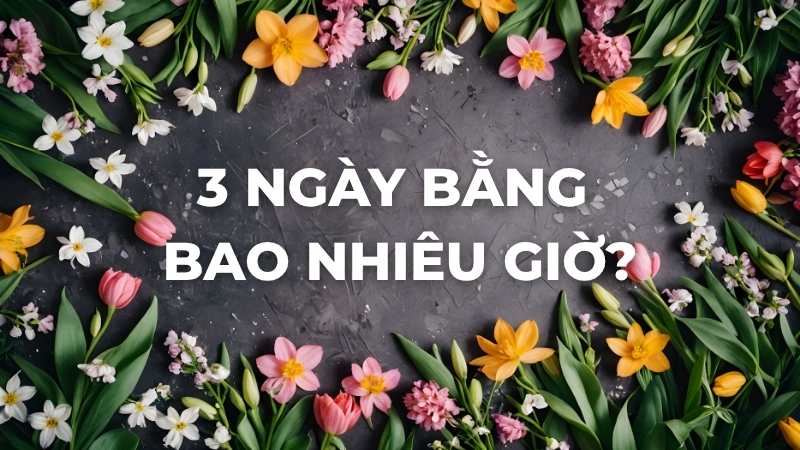 3 ngày bằng bao nhiêu giờ?