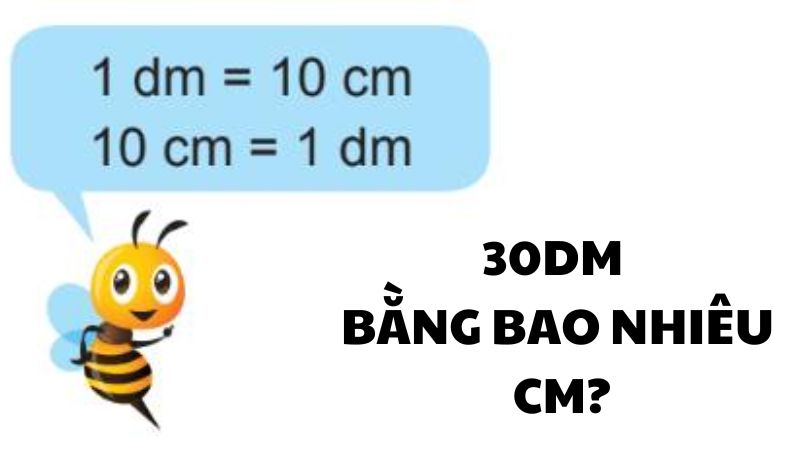 30dm bằng bao nhiêu cm?