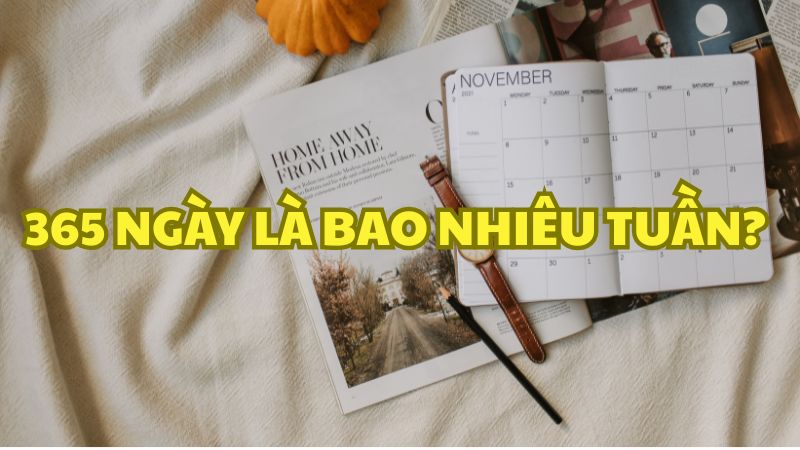 365 ngày là bao nhiêu tuần?