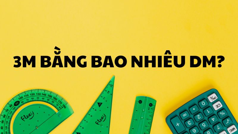 3m bằng bao nhiêu dm?