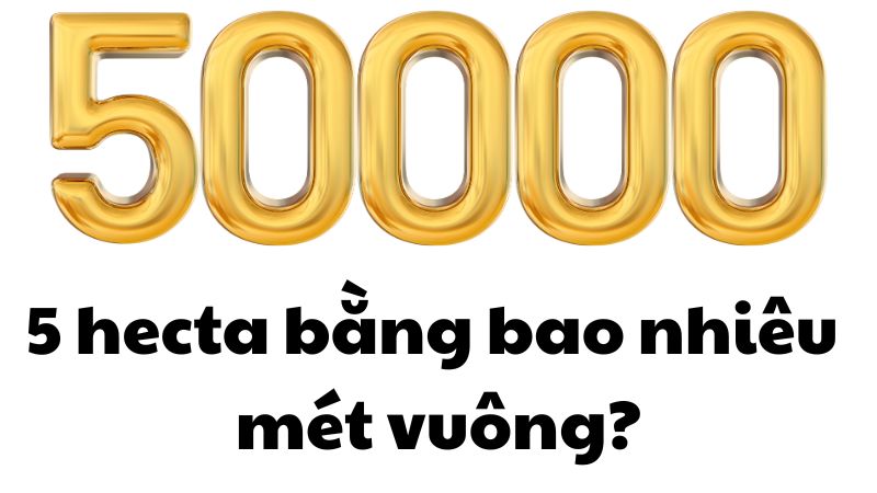 5 hecta bằng bao nhiêu mét vuông?