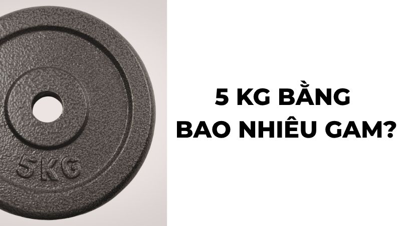 5 kg bằng bao nhiêu gam?