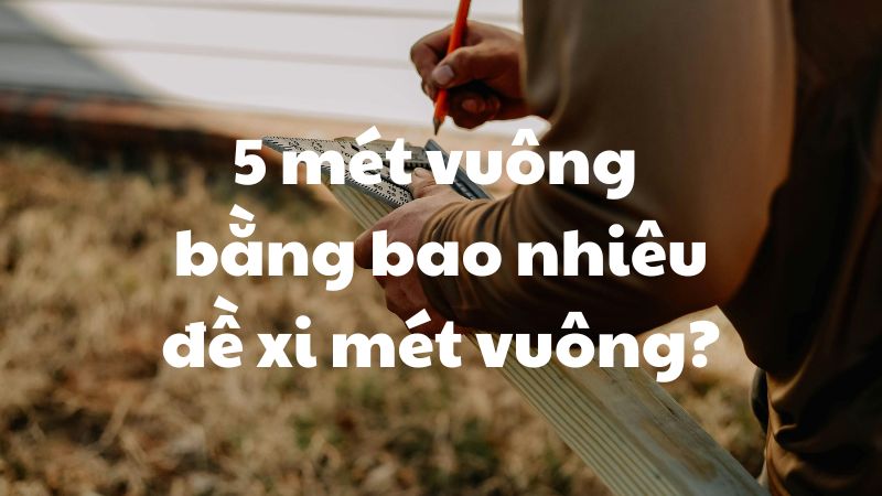 5 mét vuông bằng bao nhiêu đề xi mét vuông?