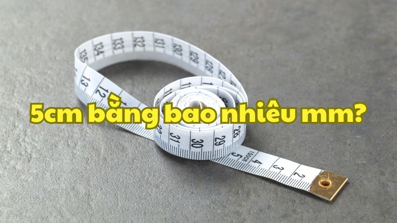 5cm bằng bao nhiêu mm