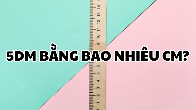 5dm bằng bao nhiêu cm?