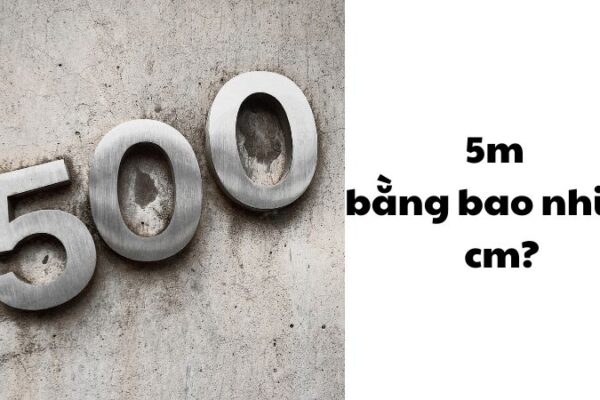 5m bằng bao nhiêu cm?