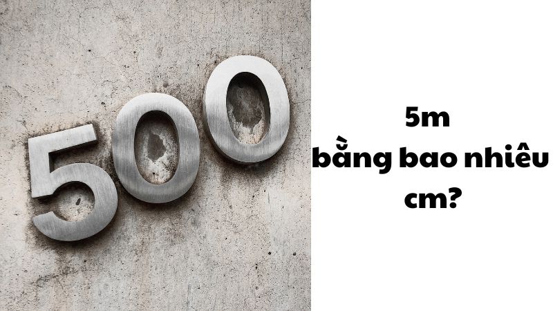 5m bằng bao nhiêu cm?