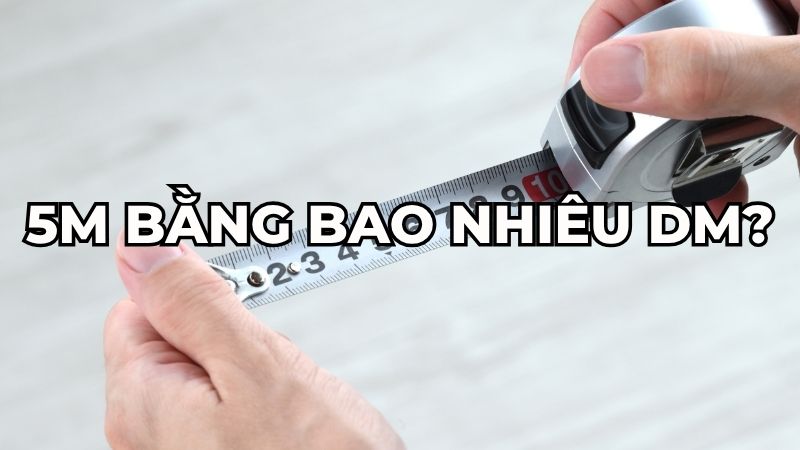 5m bằng bao nhiêu dm?