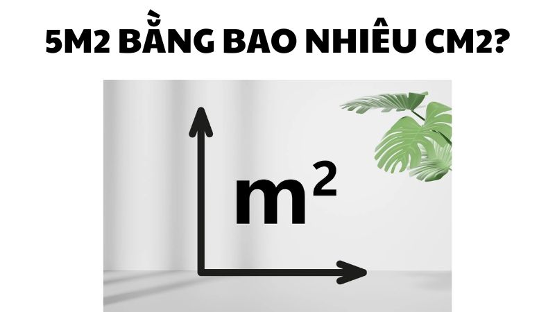 5m2 bằng bao nhiêu cm2?