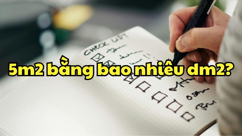 5m2 bằng bao nhiêu dm2?