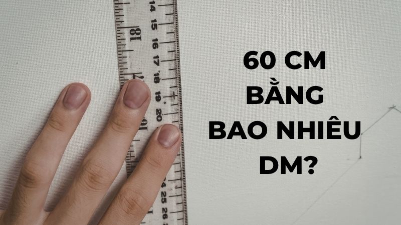 60 cm bằng bao nhiêu dm?