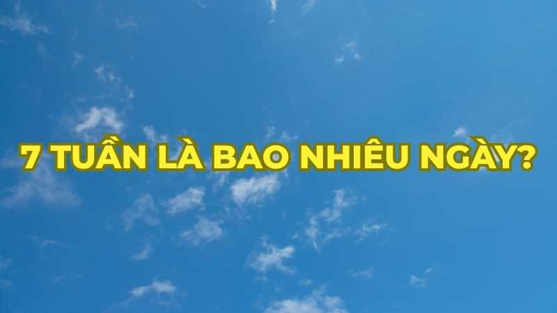7 tuần là bao nhiêu ngày?