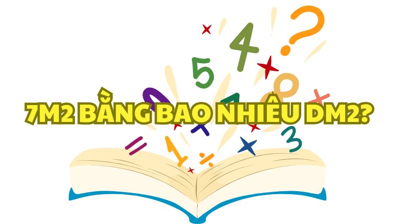 7m2 bằng bao nhiêu dm2?