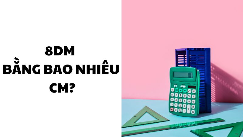8dm bằng bao nhiêu cm?