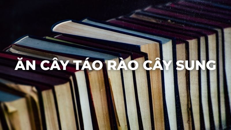 Ăn cây táo rào cây sung là gì?