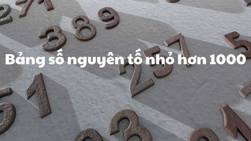 Bảng số nguyên tố nhỏ hơn 1000