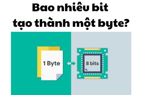 Bao nhiêu bit tạo thành một byte?