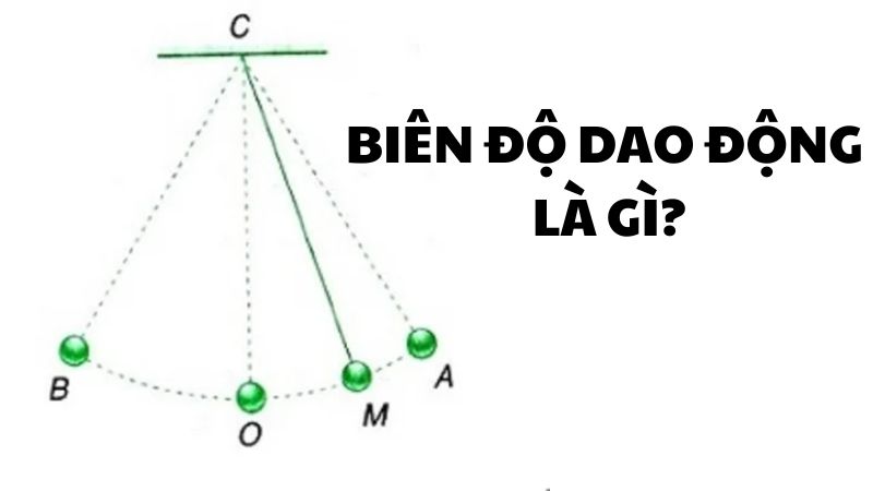 Biên độ dao động là gì?