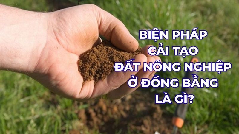 Biện pháp cải tạo đất nông nghiệp ở đồng bằng là