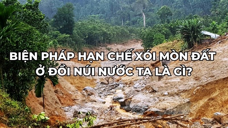 Biện pháp hạn chế xói mòn đất ở đồi núi nước ta là