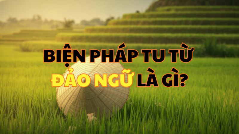 Biện pháp tu từ đảo ngữ là gì?