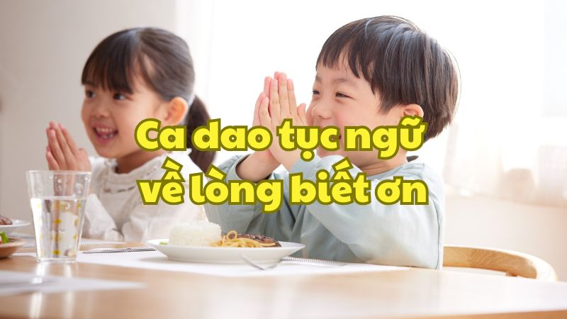 Ca dao tục ngữ về lòng biết ơn