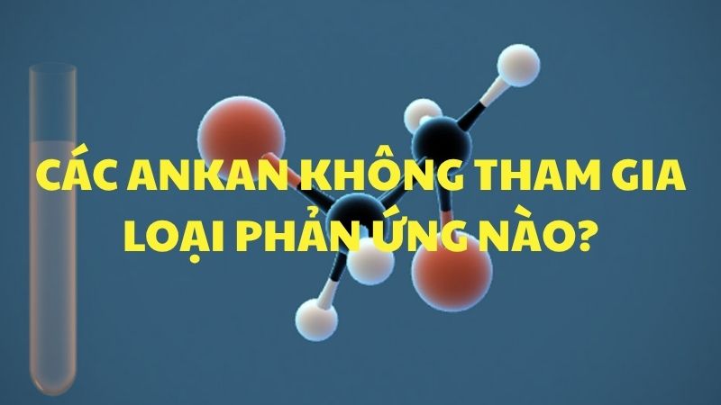Các ankan không tham gia loại phản ứng nào?