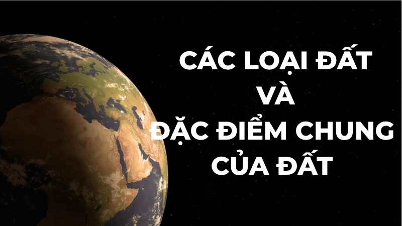 Các loại đất và đặc điểm chung của đất