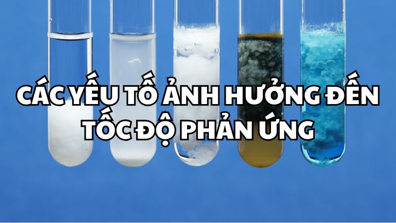 Các yếu tố ảnh hưởng đến tốc độ phản ứng